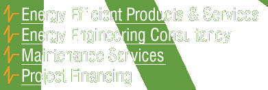 Energy Efficient Products & Services, Energy Engineering Consultancy, Maintenance Services, Project Financing